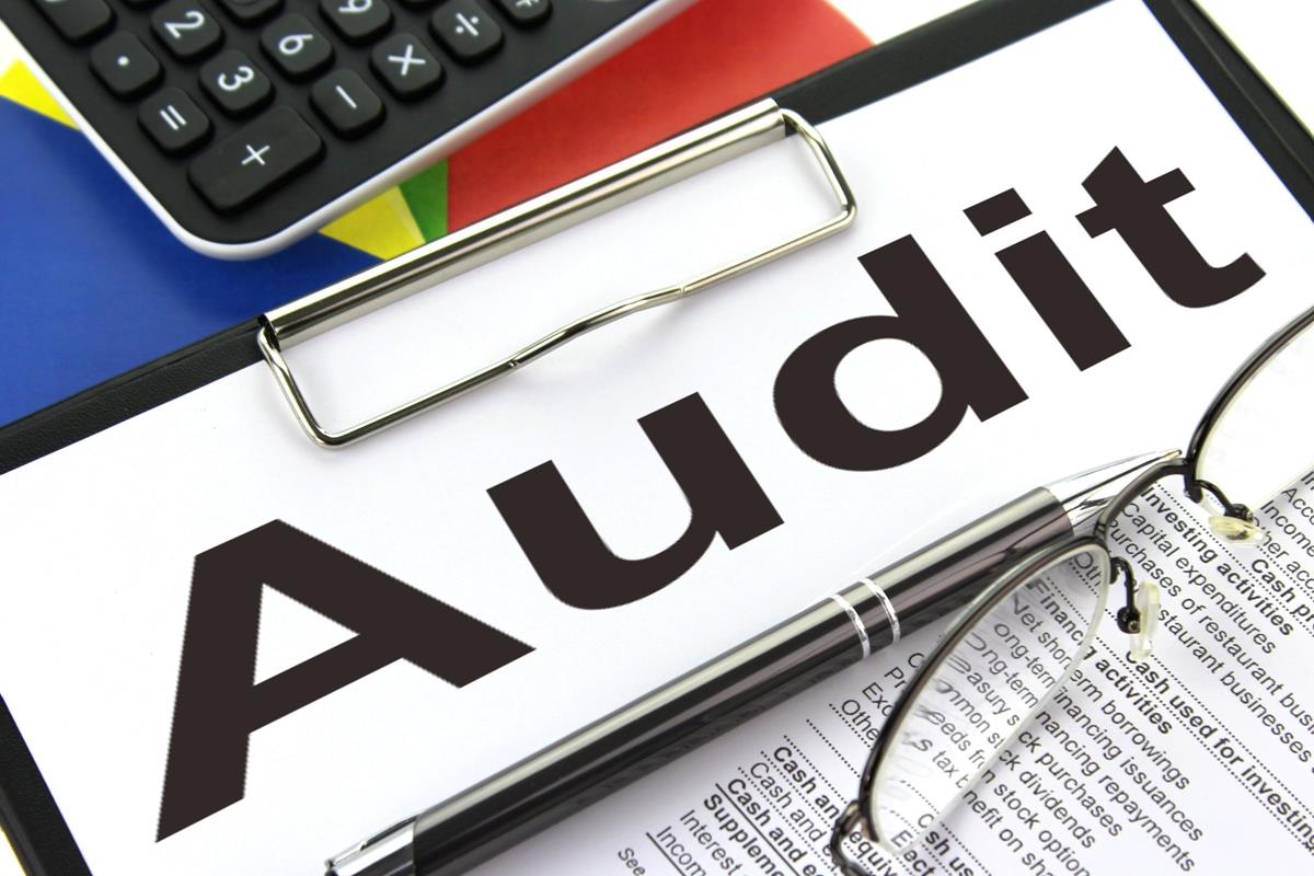 what is auditing