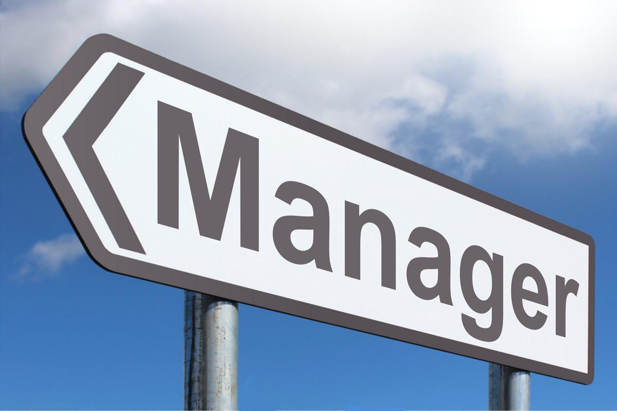 Roles and Responsibilities of Professional Managers
