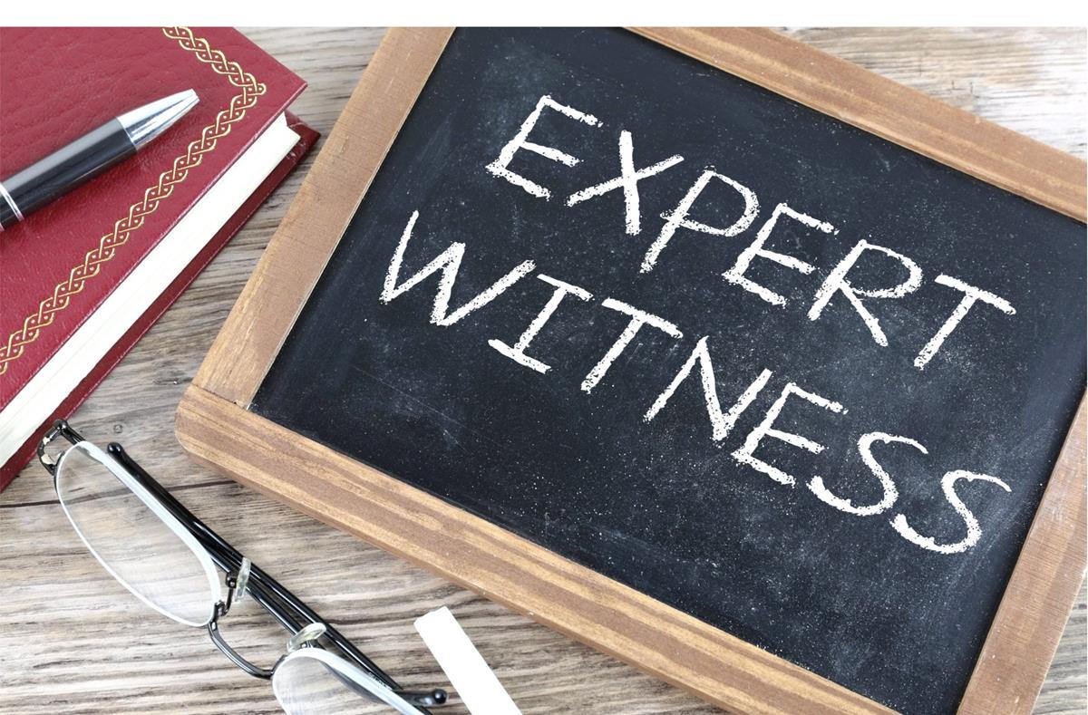 expert witness services definition