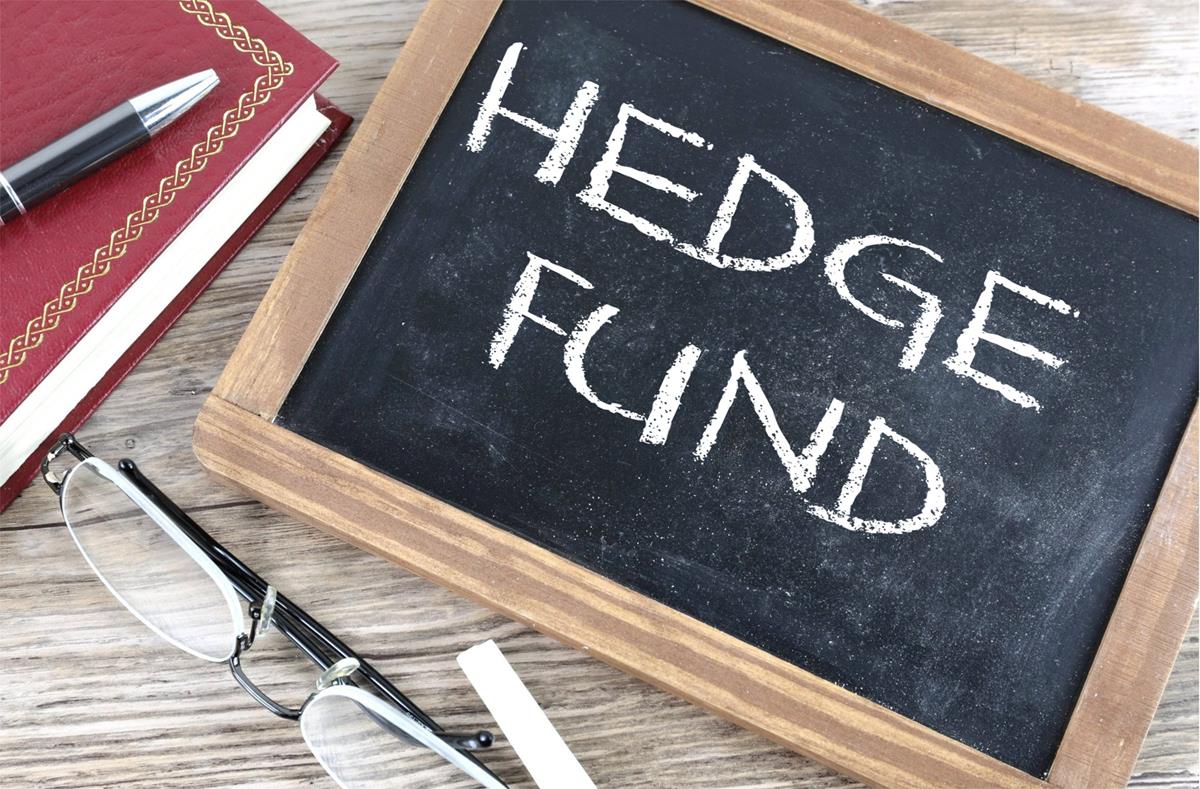 Hedge Fund - Free of Charge Creative Commons Chalkboard image