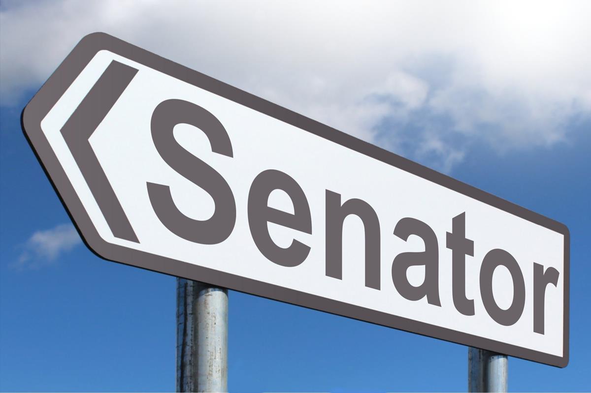 Senator